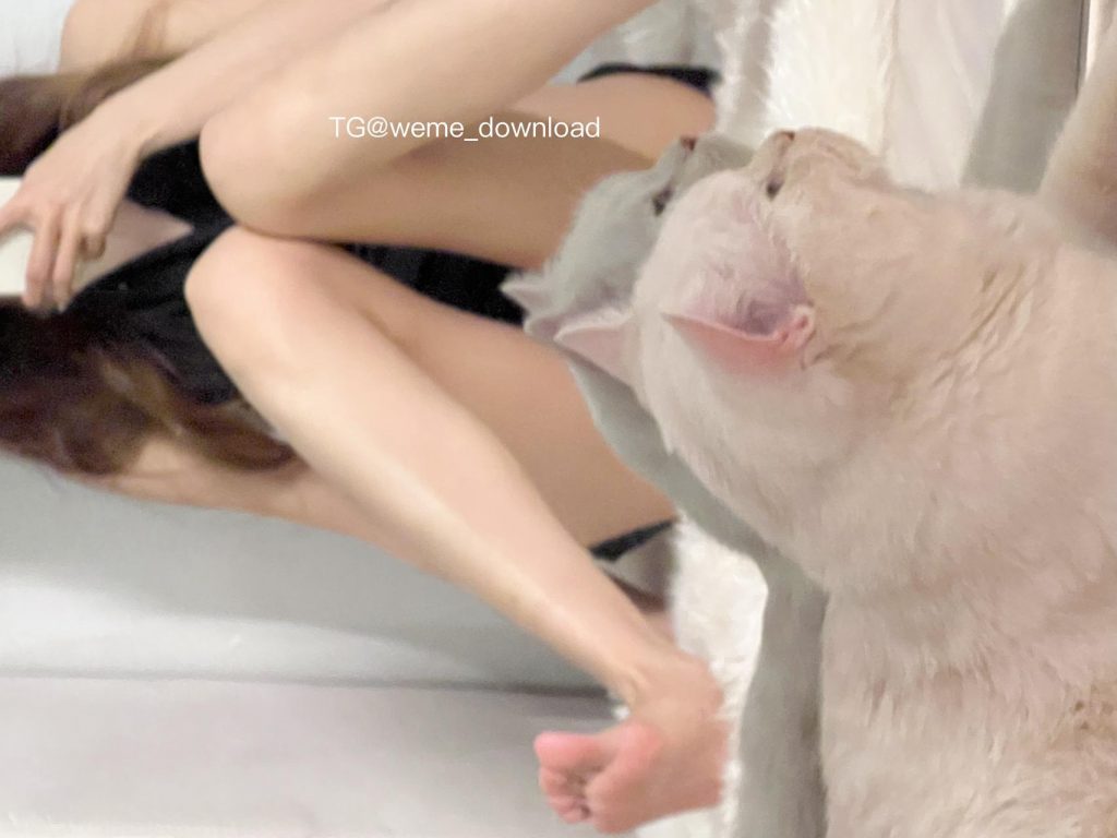 图片[3]深夜宿舍|一个懂你的资源网站|微密圈资源最全在线下载官网论坛微密圈相扑猫合集【更新至38期】深夜宿舍|一个懂你的资源网站|微密圈资源最全在线下载官网论坛深夜宿舍|一个懂你的资源网站|